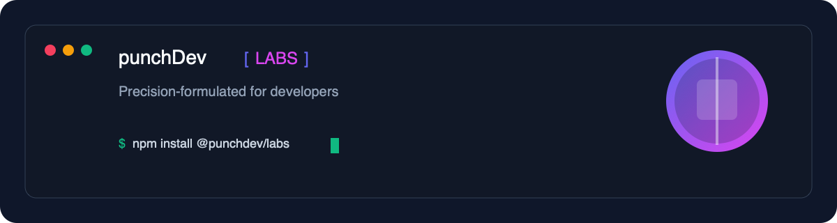 punchDev Labs
